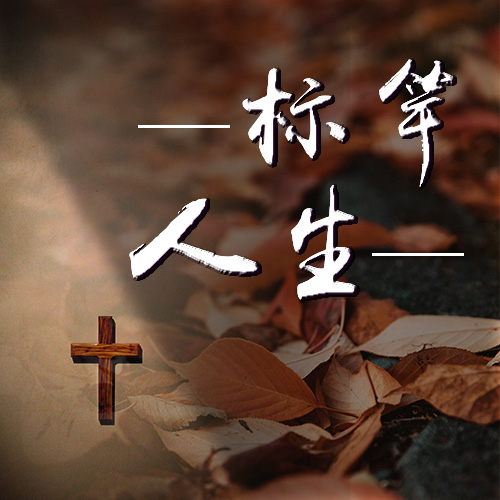 标竿人生