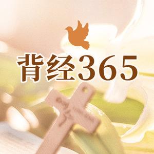 《背经365 2025年》